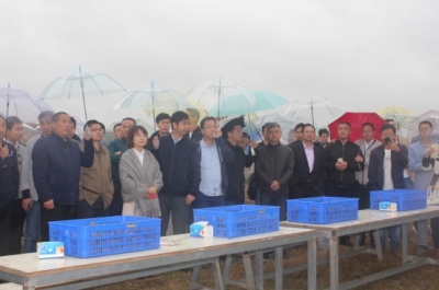 全省乡镇领导干部精准扶贫示范培训班到赵棚参观产业扶贫