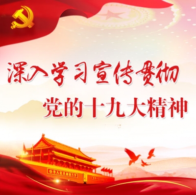 市审计局深入学习贯彻党的十九大精神