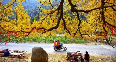 王义贞镇三个专班服务钱冲旅游旺季