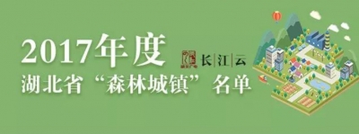 奔走相告！我市王义贞镇有了“森林城镇”新称号！