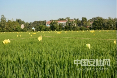 烟店镇生物防治保高产