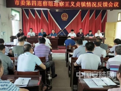 王义贞镇召开市委第四巡察组巡查情况反馈会