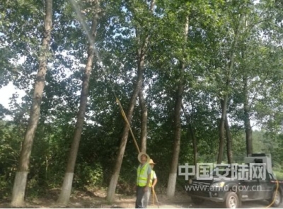 赵棚林业站积极开展重危害生物防治工作