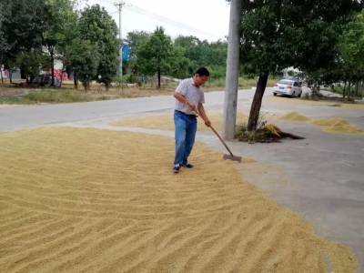 贫困户当上村干部 誓带乡亲同奔致富路