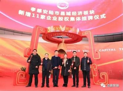 安陆11家企业挂牌武汉股权托管交易中心