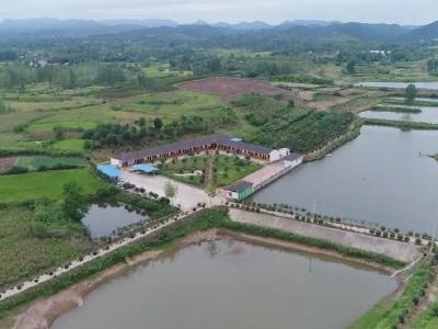 安陆：清河行动 打赢碧水保卫战