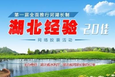 从见河长到见成效——安陆市全面推行河库长制工作综述