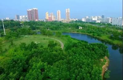 安陆：森林城市建设促进生态环境大改观