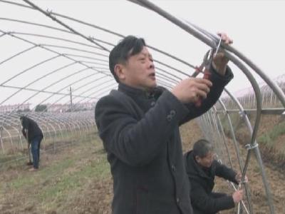 【提能力 转作风】安陆千名党员干部一线“闹”春耕