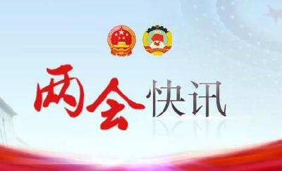 习近平等出席全国政协十三届二次会议开幕会