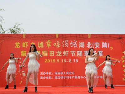 安陆市烟店镇举行第二届稻田龙虾节