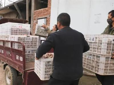 安陆：在“卖”与“买”间架起桥梁
