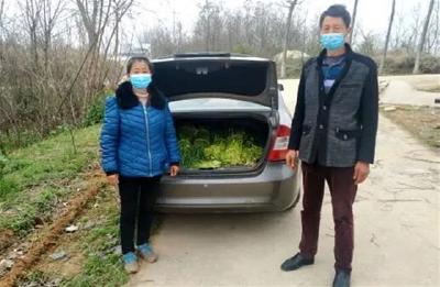 安陆 | 赵棚镇：代购代销帮蒜农谋销路