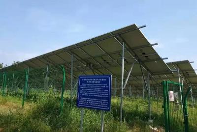 安陆|杨冲村：多元产业助力“摘帽出列” ——安陆市贫困村脱贫路径探究
