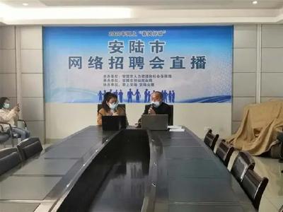​安陆 | 11家企业提供2000个岗位——安陆市举办首届网络招聘会
