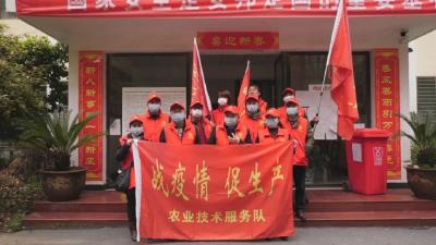 深入春耕一线 服务农业生产 ——安陆市农业技术推广中心4支技术服务队深入春耕一线​