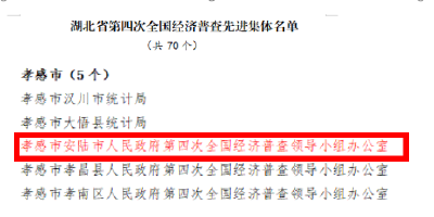 喜讯！安陆市人民政府第四次全国经济普查领导小组办公室荣获省级先进集体称号