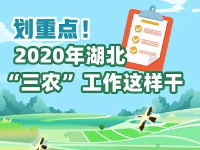 补短板，奔小康！2020年省委一号文件发布