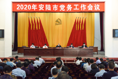 安陆市召开2020年党务工作会议