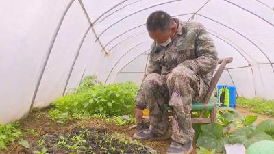 安陆丨邓明炎：只手撑起一片天 勤劳闯出致富路