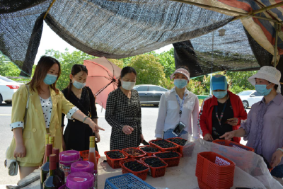 安陆 | 安陆烟店：“采摘游”风生水起