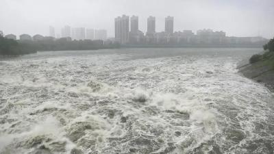 安陆丨安陆遭遇强降雨 城区及乡镇不同程度受灾