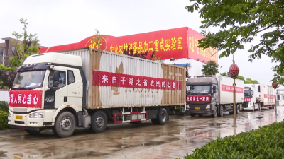 安陆市120万元鲜蛋皮蛋搭载“爱心专车”驰援北京