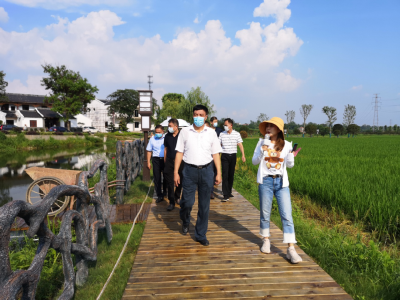 孝感市政协副主席万忠鑫到安陆开展农旅养融合示范线建设专项民主监督