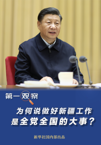 第一观察｜为何说做好新疆工作是全党全国的大事？