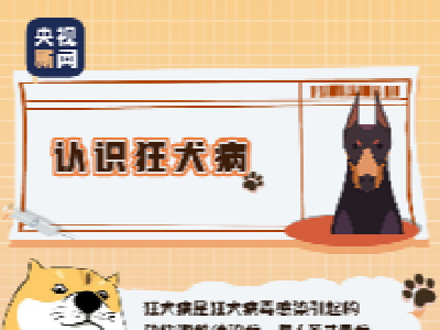 关于狂犬病的这些真相，你或许还未了解……