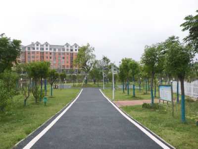 安陆市洑水镇：创建卫生乡镇 建设美好家园