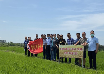 产业扶贫树品牌 消费扶贫促增收