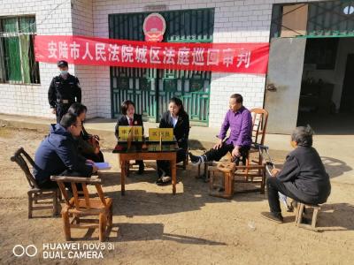 安陆法院:巡回审判到家中 温情调解促和谐