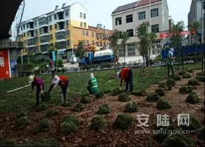 《最美扶贫干部》（二十二）——董正秦：心系扶贫 枝叶关情