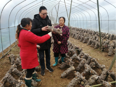 真抓实干 真情帮扶 落后村变排头兵