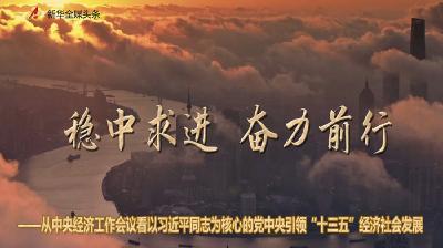 稳中求进　奋力前行——从中央经济工作会议看以习近平同志为核心的党中央引领“十三五”经济社会发展