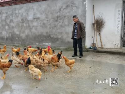 走向我们的小康生活(十六) ——徐大文：自力更生奔小康
