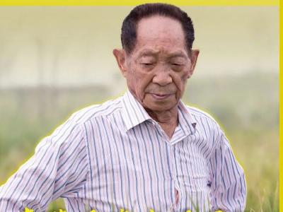 重磅！袁隆平海水稻团队又放大招了