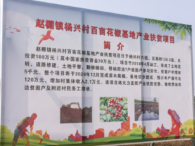 安陆市杨兴村：加快乡村建设 力促农业经济腾飞