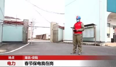 安陆供电公司多措并举全力保障春节期间供电稳定