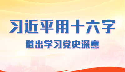 习近平用十六字 道出学习党史深意