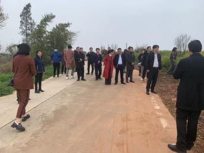 湖北省企业国际合作协会来安陆市考察旅游项目