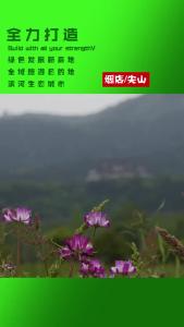 安陆全力打造“绿色发展新高地、全域旅游目的地、滨河生态城市”