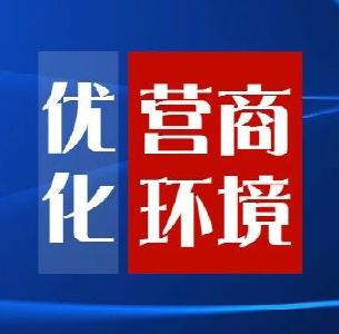 安陆市政务服务和大数据管理局优化营商环境公开承诺