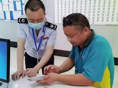 安陆|方便快捷！“楚税通”指尖办税APP来了