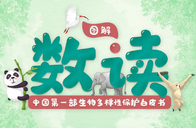我们的共同家园 | COP15来了！中国首发新领域白皮书 惊喜多看点足