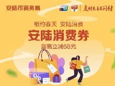 迎新春，闹元宵，安陆消费券今晚8:00开抢！抢！抢！抢！