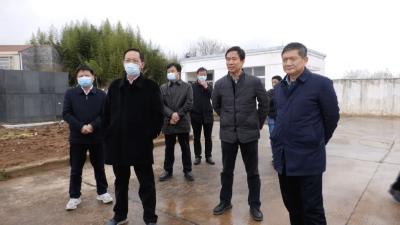 张志敏调研安陆市畜禽种业发展情况