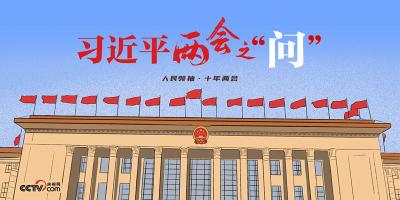 人民领袖 | 习近平两会之“问”