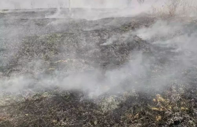 露天焚烧秸秆严重违法，处罚规定在这里！
